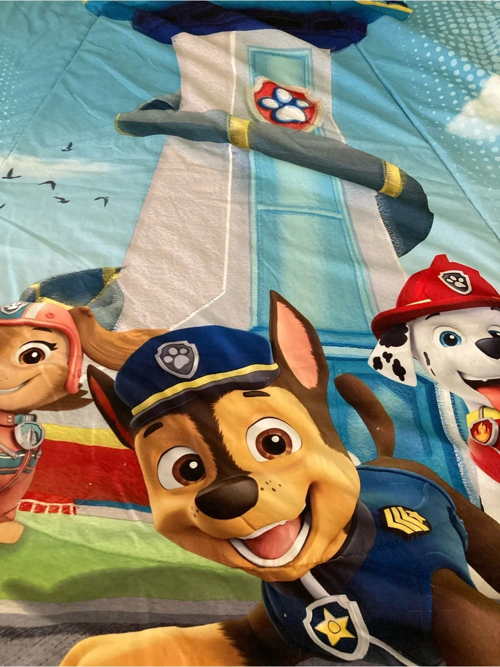 Nickelodeon PAW Patrol Blue Gray and Yellow Kids Comforter